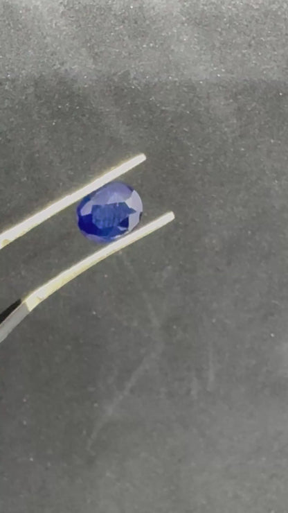 Royal Blue Sapphire - Price - $200 AUD